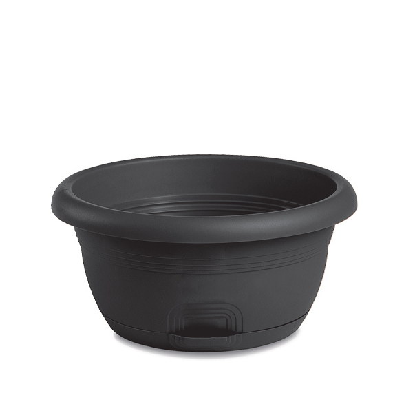Schale Capri Ø 30 cm mit Wasserspeicher
