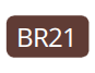 BR21 - Braun
