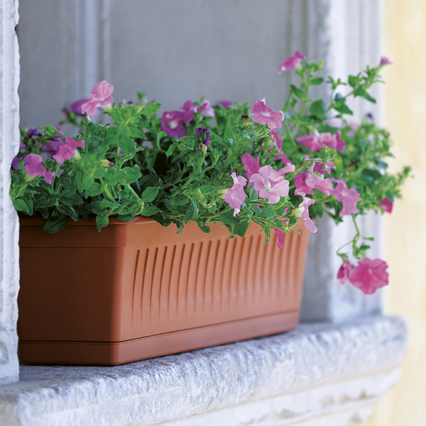 Blumenkasten Venezia mit Blumenkasten-Untersetzter 50 cm