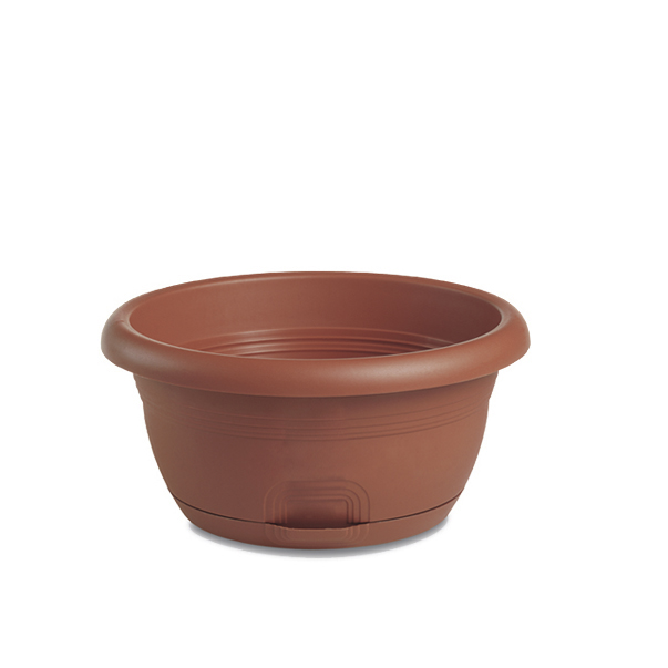 Coupe Capri Ø 20 cm avec réservoir d’eau
