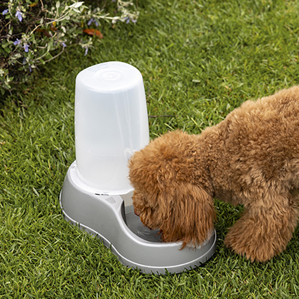 Break réserve dual function water or food dispenser