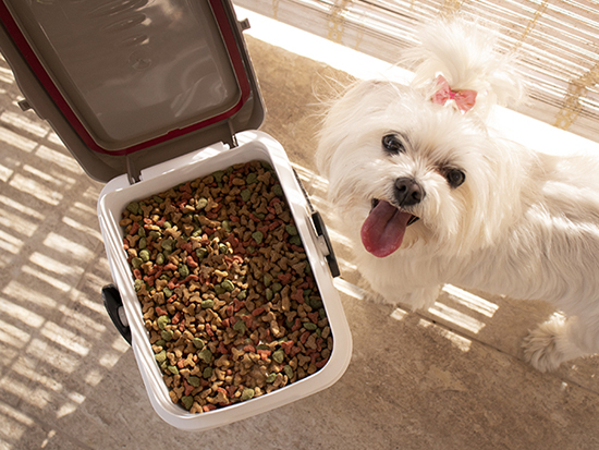 Pet food container 7 lt