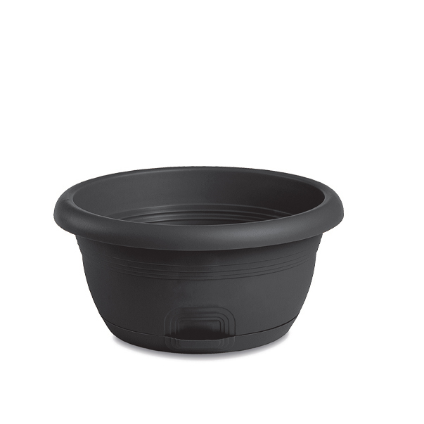 Schale Capri Ø 25 cm mit Wasserspeicher