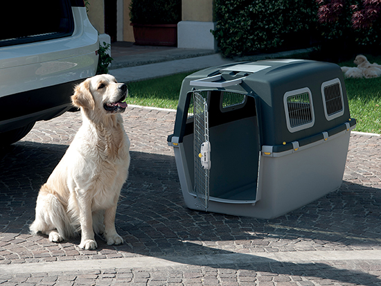 Transportboxen