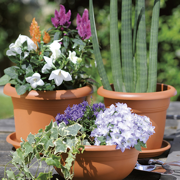 Zink-Blumenkasten Blacklook 20 Cm X 40 Cm X 11cm Kaufen Bei